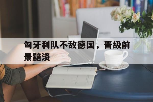 匈牙利队不敌德国，晋级前景黯淡